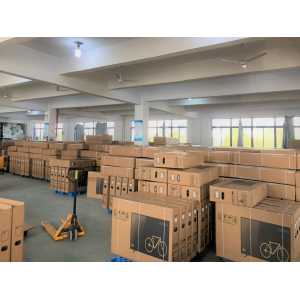 Warehouse Sale - Open Box Ebikes (Bike: Roadster V3 Black - Large - Belt Drive)