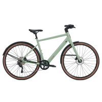 Roadster v3 (Frame Type: Large, Variant: Chain, Color: Mint)