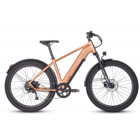 LMT'D V2 (Frame Type: XR, Color: Brushed Copper)