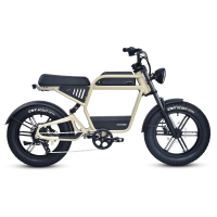 Revv1 FS (Frame Type: FS, Color: Badlands)