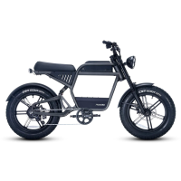 Revv1 FS (Frame Type: FS, Color: Graphite Gray)