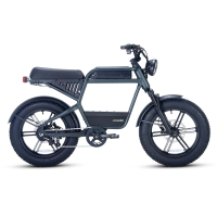 Revv1 HT (Frame Type: HT, Color: Moss Green)