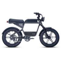 Revv1 HT (Frame Type: HT, Color: Graphite Gray)