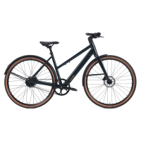 Roadster v3 (Frame Type: Low-Step, Variant: Belt, Color: Onyx Black)