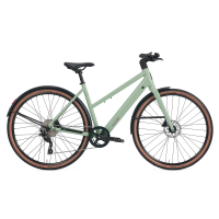 Roadster v3 (Frame Type: Low-Step, Variant: Chain, Color: Mint)