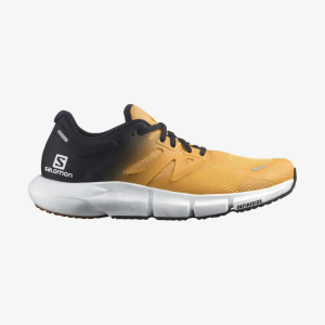 Salomon Predict 2 Running Shoes Mens | Multi Yellow | 10 | Christy Sports