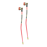 Leki WCR TBS GS 3D Ski Poles | 125 | Christy Sports