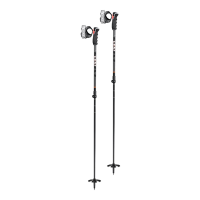 Leki Peak Vario 3D Ski Poles | Christy Sports