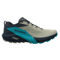 Salomon Sense Ride 5 Trail Running Shoes Mens | Multi Gray | 12 | Christy Sports
