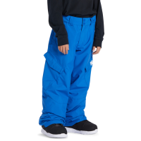 DC Shoes Banshee Technical Snow Pants Boys | Royal Blue | 14 | Christy Sports