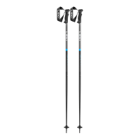 Leki QNTM Ski Poles | Royal Blue | 110 | Christy Sports