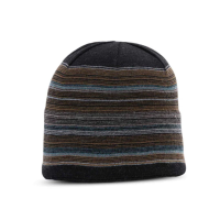 Pistil Flint Beanie | Multi Brown | Christy Sports
