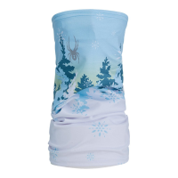 Spyder Cruise Neck Tube | Multi Teal | Christy Sports