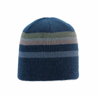 Pistil Clay Beanie | Multi Blue | Christy Sports