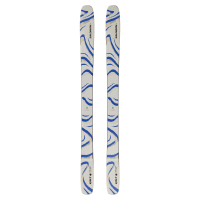 Salomon QST 106 Skis | 189 | Christy Sports