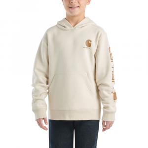 Carhartt  CA6272 Long-Sleeve Graphic Sweatshirt - Boys - Turtledove 4 Child