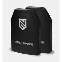 Level 4 Promo Set of 2 Plates