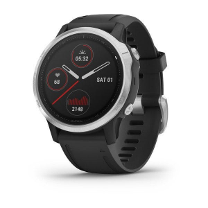 Garmin fnix(R) 6S Multisport GPS Watch - Silver With Black Band