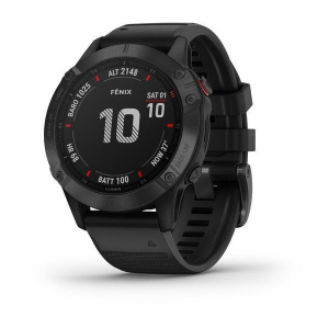 Garmin fnix(R) 6 Multisport GPS Watch - Silver With Black Band
