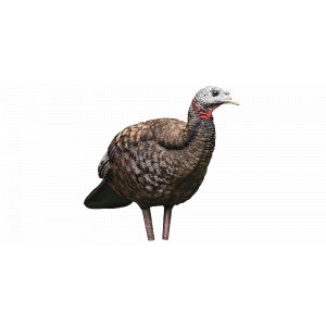 GoWild Avian X Breeder Turkey Decoy