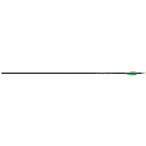 Easton Genesis Arrows 6
