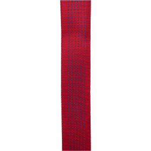 Cypher 2"x150' Tube Webbing - Red