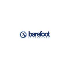 Barefoot International Deluxe Gunnel Mount Boom