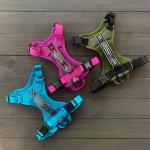 Dog Harness