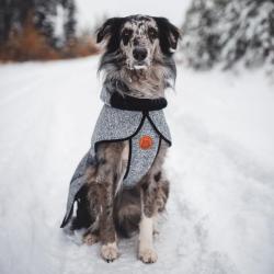 Dog Fleece Jacket-Gray