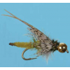 BH Extended Body Caddis Pupa - Mult Colors