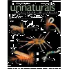 Unnaturals A Practical Guide To Tying With Synthetics