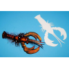 Cohen's Crayfish Creature