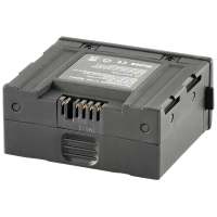 iRay USA AC07 Rico IBP-1 Li-Ion 4400 mAh
