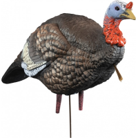 Higdon Outdoors 63144 Hard Body 1/4 Strut Jake Turkey Jake Species Multi Color