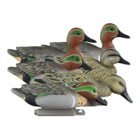 Higdon Outdoors 19943 Standard Teal Green Wing Teal Species Multi Color Foam Filled 6 Pack