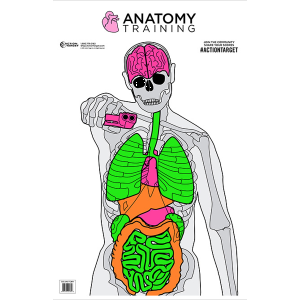 Action Target Anatomy Vitals Silhouette Training Targets 23x35  100 Count (Multi-Color)