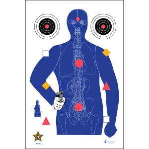 Action Target SSO99100 StateSpecific Qualification Sarasota Sheriffs Office SilhouetteVitals Paper Hanging 23 x 35 Blue 100 Per Box