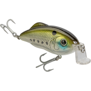 Strike King Saltwater Hybrid Hunter Shallow Crankbait Sexy Pogy
