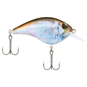 Berkley Frittside 5 Junior Crankbait HD Blueback Herring