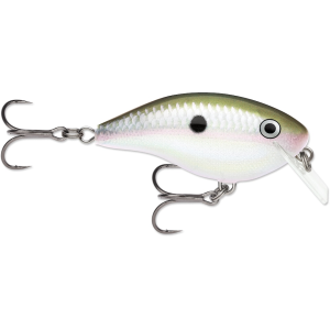 Rapala Ott's Garage (OG) Rocco O5 Square Bill Crankbait Green Gizzard Shad
