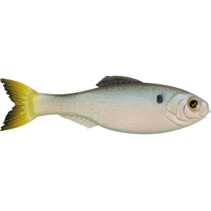 6th Sense Panorama 3.3" Jerkbait Clearwater Shad - 6Th Sense