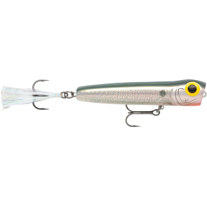Storm Chug Bug 08 Topwater Shad