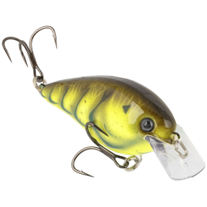 Strike King KVD Elite Square Bill 1.5 Crankbait Summer Craw