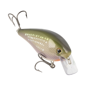 Strike King KVD Elite Square Bill 1.5 Crankbait River Shiner
