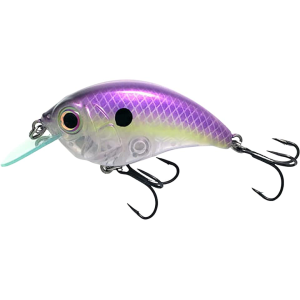 Bill Lewis SB-57 MDJ Square Bill Crankbait Lavender Shad