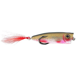 Snag Proof Zoo Pop Topwater Bloody Shad
