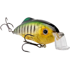 Strike King Hybrid Hunter Jr. Shallow Crankbait Phantom Perch