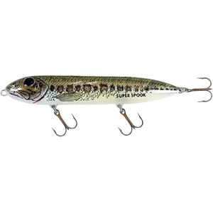 Heddon Super Spook Topwater Florida Bass