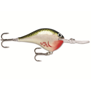Rapala DT 16 Crankbait Bleeding Olive Shiner