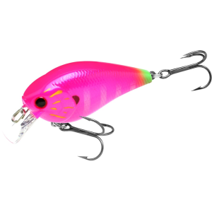 Lucky Craft LC 1.5 Square Bill Crankbait Pink Dragon Gill